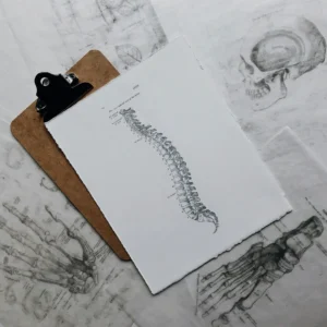 Teacher Training Anatomy